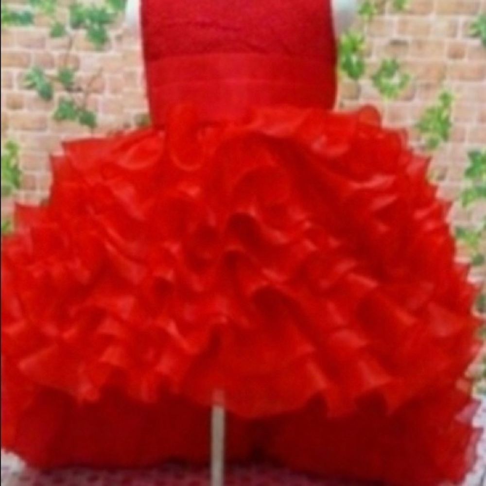 Fancy Little Girl Pageant Dresses Red / 2T